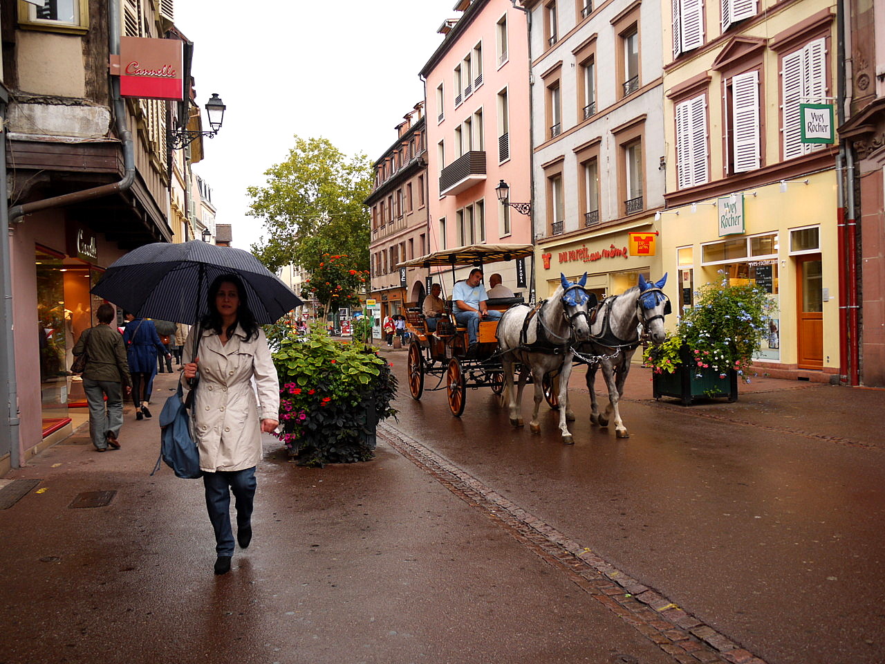 Colmar houses